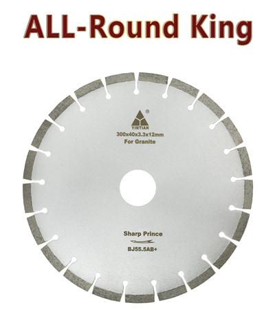 φ300mm granite saw blade SH100 20H Europe Allround King